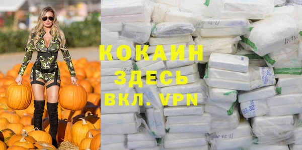 таблы Козельск
