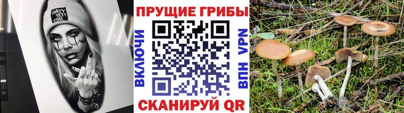 mega зеркало Александровск-Сахалинский Галлюциногенные грибы Magic Shrooms где продают